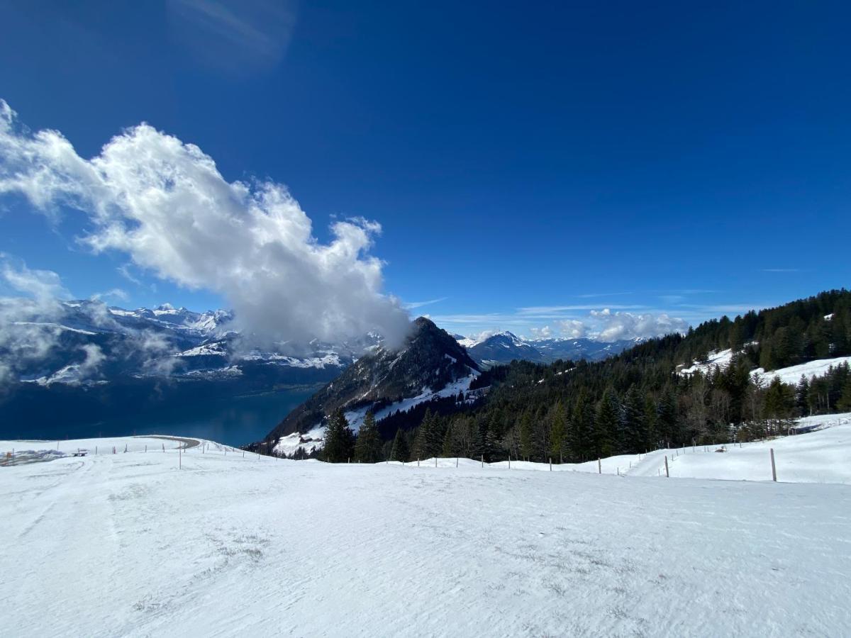 Rigi-Burggeist Alpine Guesthouse Gersau Kültér fotó