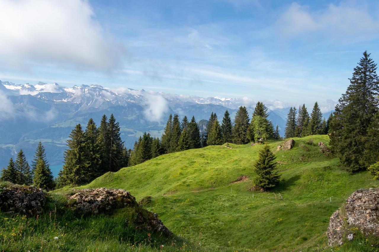 Rigi-Burggeist Alpine Guesthouse Gersau Kültér fotó